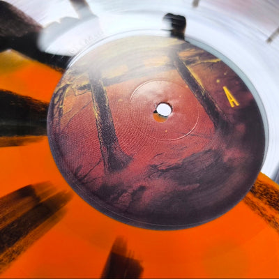 Imperfect Vinyl