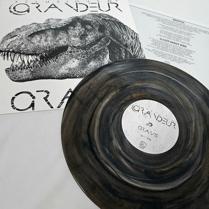 Delusions of Grandeur - 'Gravis' Vinyl (Pittsburgh Skies Mystery)