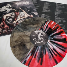 Load image into Gallery viewer, Snake Father - &#39;Concepts of Torture&#39; Vinyl (Heretic&#39;s Split)
